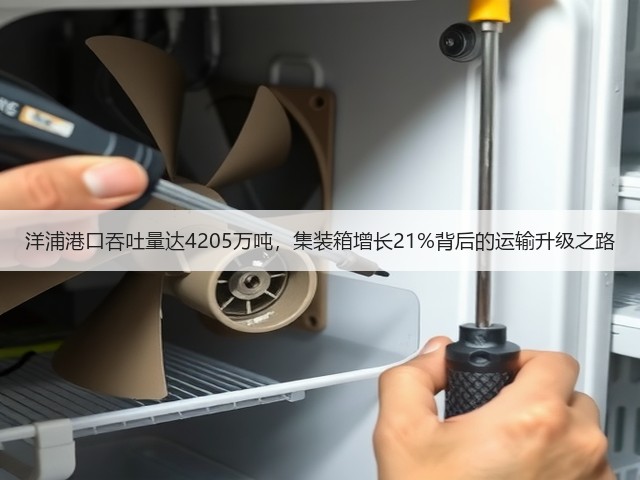 洋浦港口吞吐量达4205万吨，集装箱增长21%背后的运输升级之路(图3)