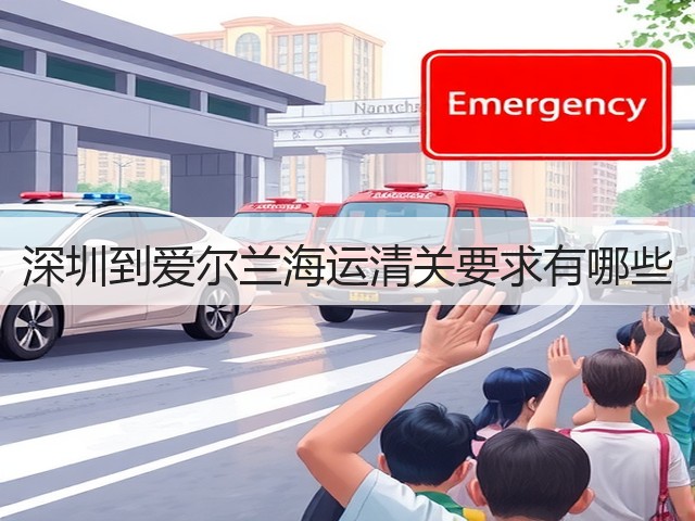 深圳到爱尔兰海运清关要求有哪些(图1)
