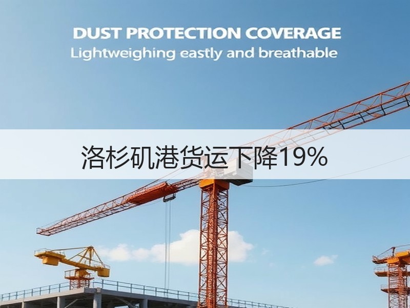 洛杉矶港货运下降19%