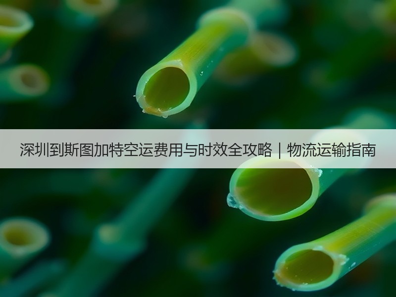 深圳到斯图加特空运费用与时效全攻略｜物流运输指南