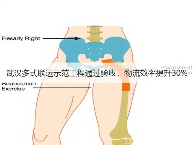 武汉多式联运示范工程通过验收,物流效率提升30%(图2) 武汉多式联运示范工程通过验收,物流效率提升30%(图2)