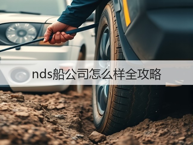 nds船公司怎么样全攻略(图1)