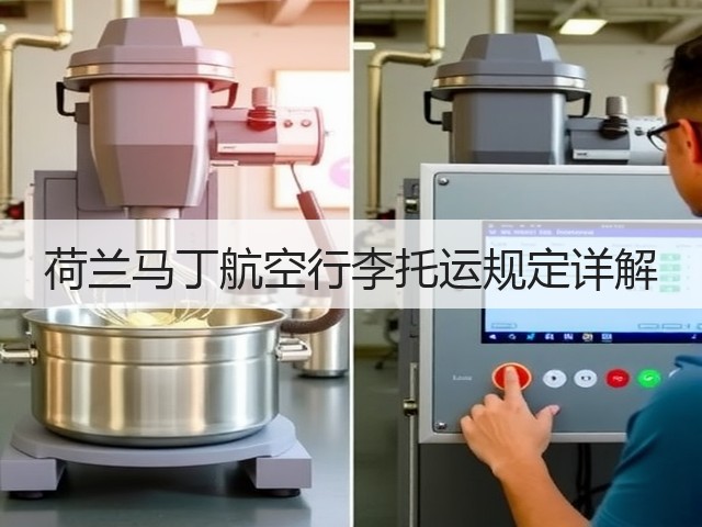 荷兰马丁航空行李托运规定详解(图2) 荷兰马丁航空行李托运规定详解(图2)