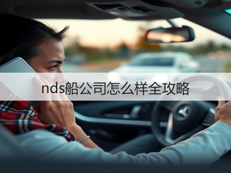 nds船公司怎么样全攻略