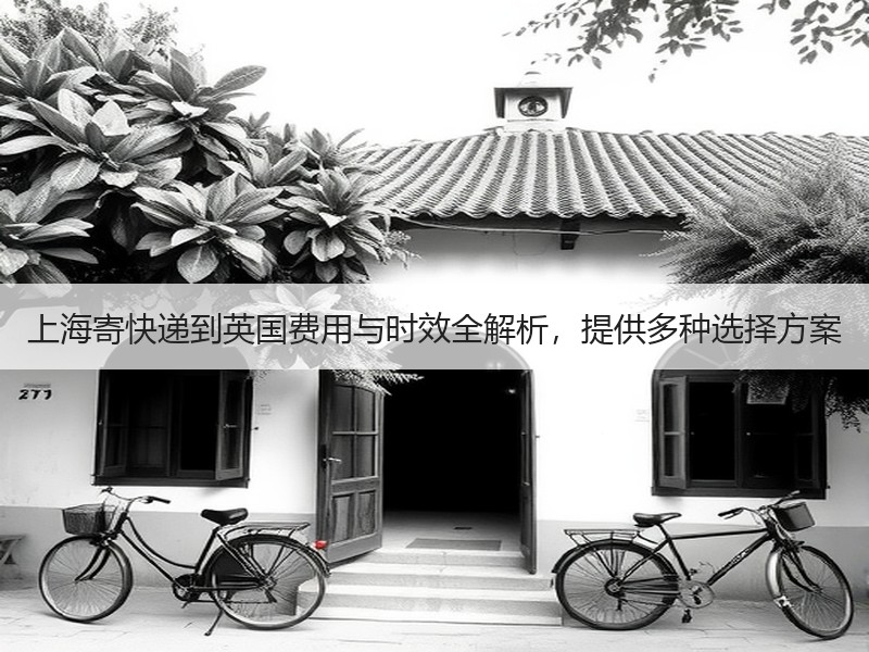 上海寄快递到英国费用与时效全解析，提供多种选择方案