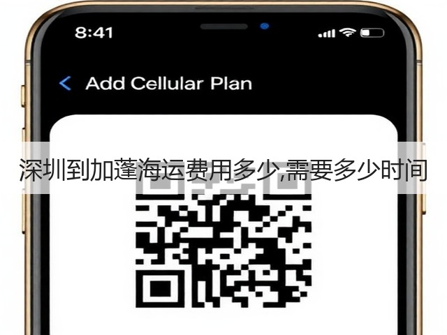 深圳到加蓬海运费用多少,需要多少时间(图3) 深圳到加蓬海运费用多少,需要多少时间(图3)