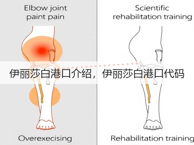 伊丽莎白港口介绍,伊丽莎白港口代码(图2) 伊丽莎白港口介绍,伊丽莎白港口代码(图2)