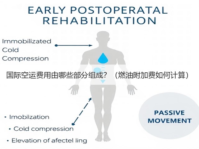 国际空运费用由哪些部分组成？（燃油附加费如何计算）(图1)