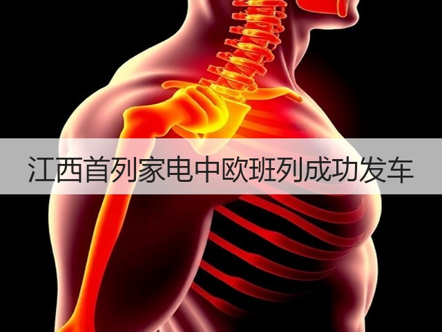 江西首列家电中欧班列成功发车(图2)