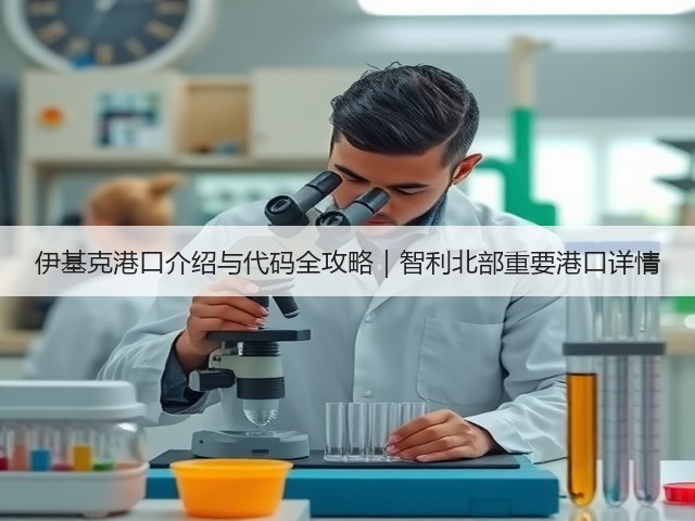 伊基克港口介绍与代码全攻略｜智利北部重要港口详情(图2)