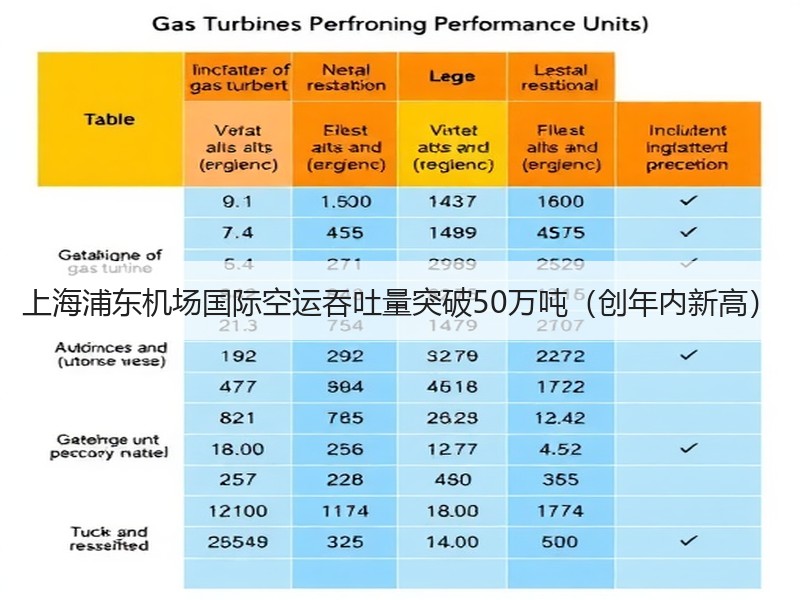 上海浦东机场国际空运吞吐量突破50万吨（创年内新高）