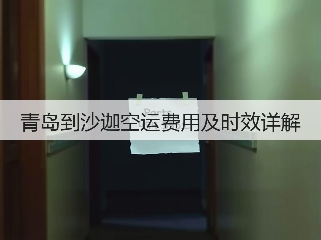 青岛到沙迦空运费用及时效详解(图2)