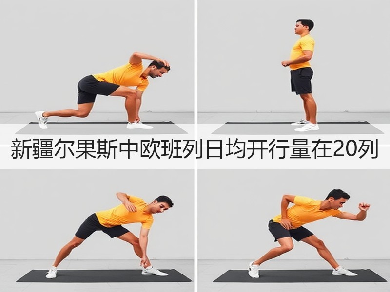 新疆尔果斯中欧班列日均开行量在20列