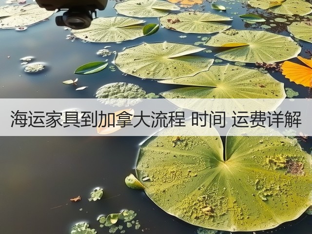 海运家具到加拿大流程 时间 运费详解(图1)