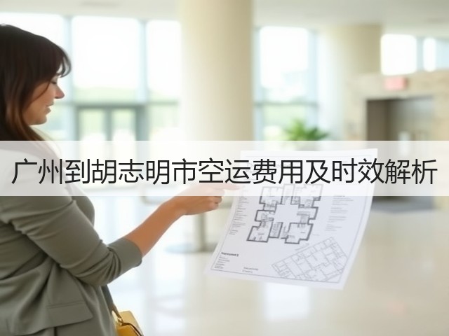 广州到胡志明市空运费用及时效解析(图3)
