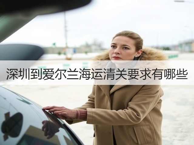 深圳到爱尔兰海运清关要求有哪些(图3) 深圳到爱尔兰海运清关要求有哪些(图3)