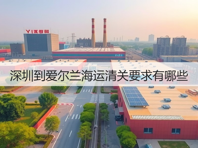 深圳到爱尔兰海运清关要求有哪些