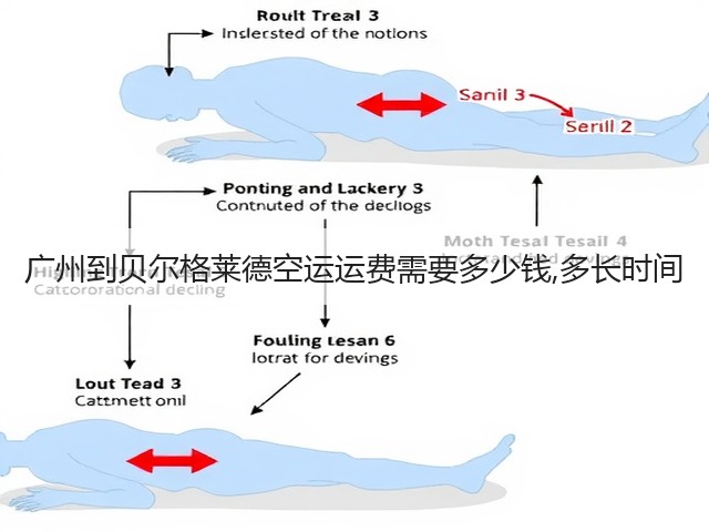 广州到贝尔格莱德空运运费需要多少钱,多长时间(图1) 广州到贝尔格莱德空运运费需要多少钱,多长时间(图1)