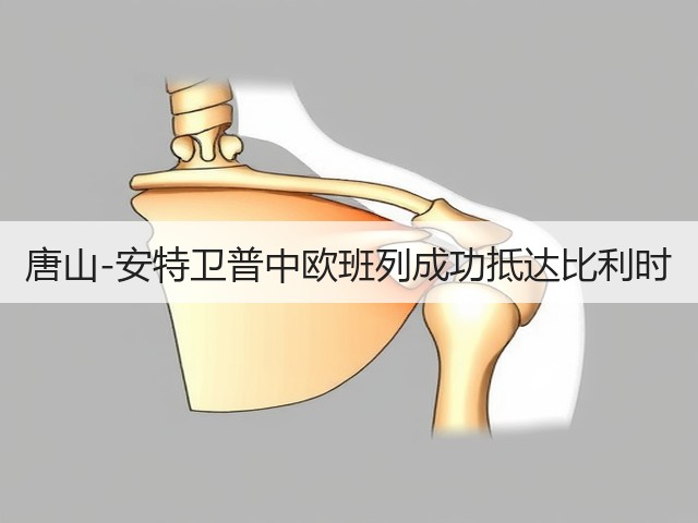 唐山-安特卫普中欧班列成功抵达比利时(图1)