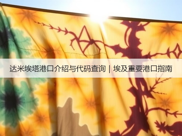 达米埃塔港口介绍与代码查询｜埃及重要港口指南(图3)