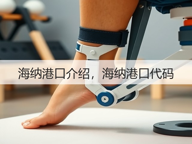 海纳港口介绍，海纳港口代码(图1)
