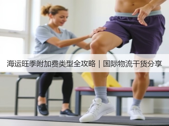 海运旺季附加费类型全攻略｜国际物流干货分享(图3)