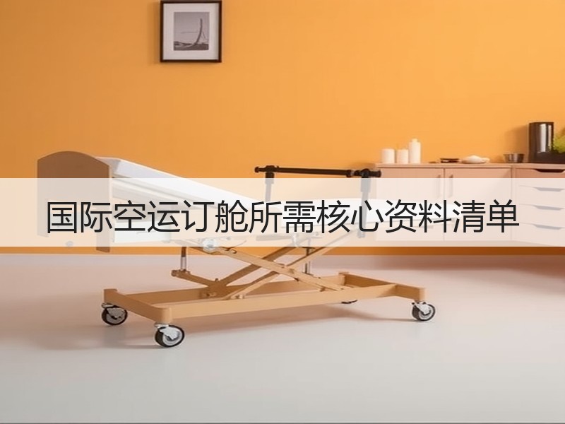 国际空运订舱所需核心资料清单