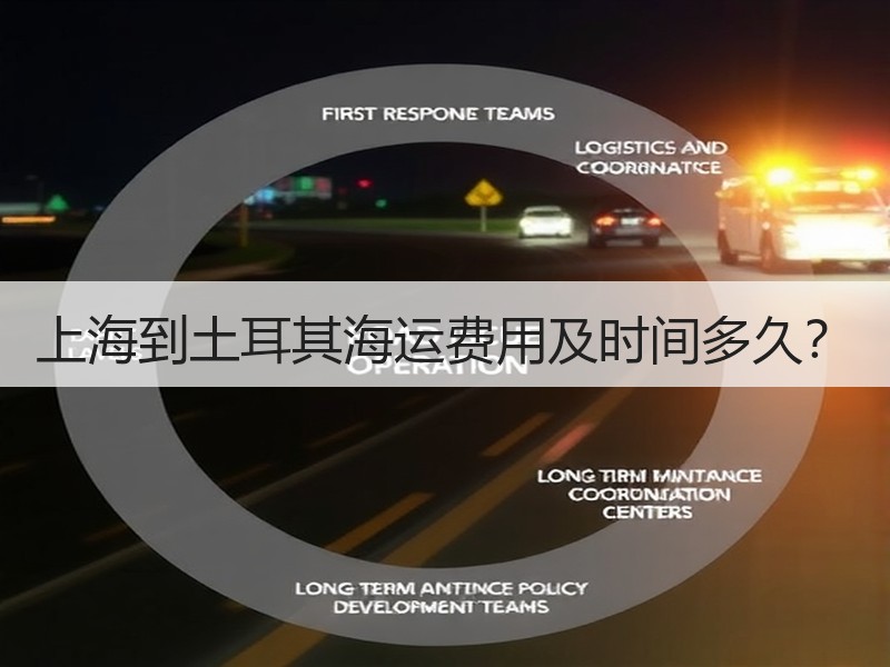上海到土耳其海运费用及时间多久? 上海到土耳其海运费用及时间多久?