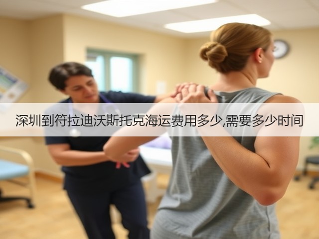 深圳到符拉迪沃斯托克海运费用多少,需要多少时间(图3)