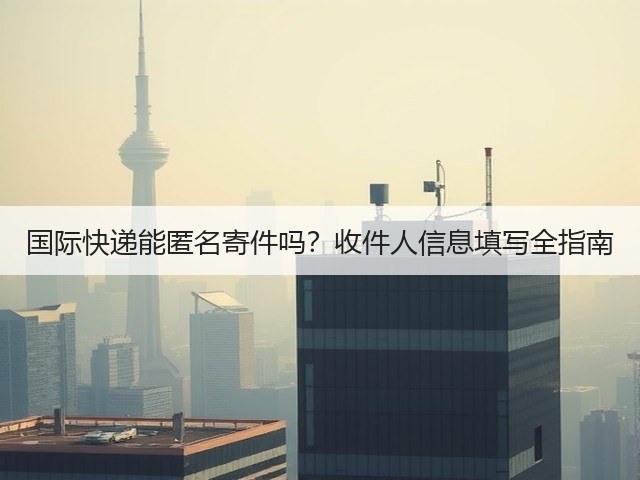 国际快递能匿名寄件吗？收件人信息填写全指南(图2)