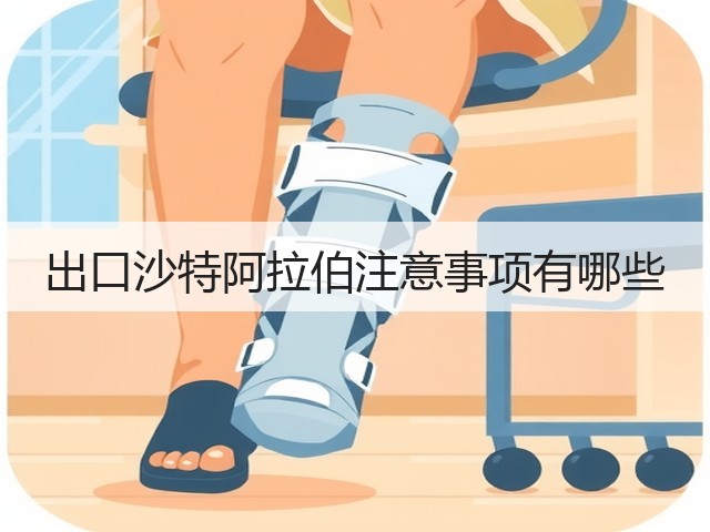 出口沙特阿拉伯注意事项有哪些(图3)
