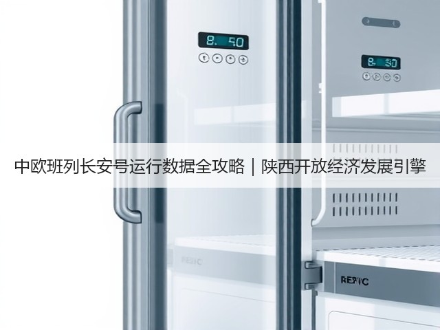 中欧班列长安号运行数据全攻略|陕西开放经济发展引擎(图3) 中欧班列长安号运行数据全攻略|陕西开放经济发展引擎(图3)