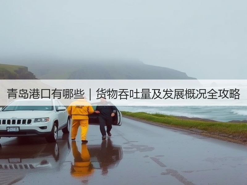 青岛港口有哪些｜货物吞吐量及发展概况全攻略