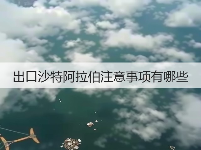 出口沙特阿拉伯注意事项有哪些(图2) 出口沙特阿拉伯注意事项有哪些(图2)