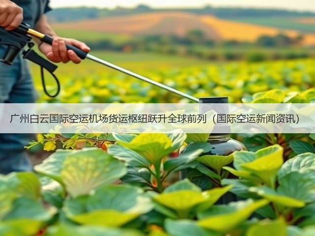 广州白云国际空运机场货运枢纽跃升全球前列（国际空运新闻资讯）(图2)