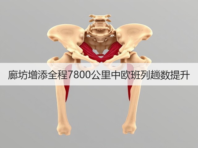 廊坊增添全程7800公里中欧班列趟数提升(图3) 廊坊增添全程7800公里中欧班列趟数提升(图3)
