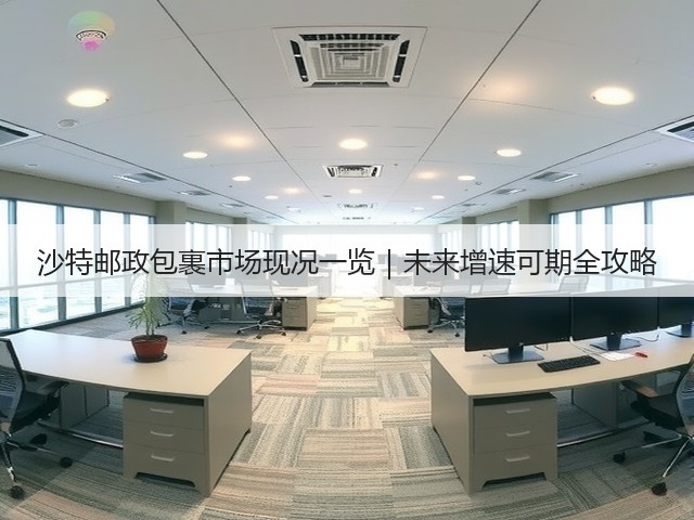 沙特邮政包裹市场现况一览｜未来增速可期全攻略(图3)