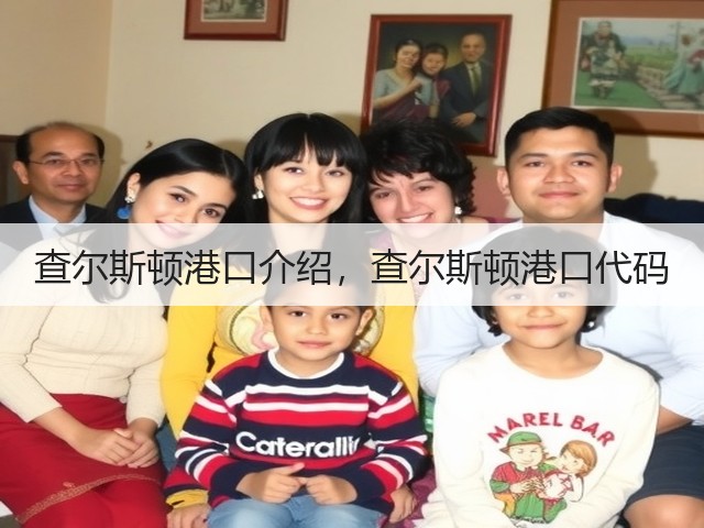 查尔斯顿港口介绍,查尔斯顿港口代码(图1) 查尔斯顿港口介绍,查尔斯顿港口代码(图1)