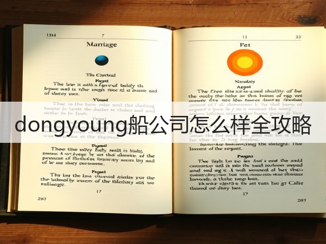 dongyoung船公司怎么样全攻略(图3)