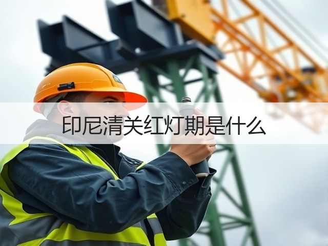 印尼清关红灯期是什么(图3)