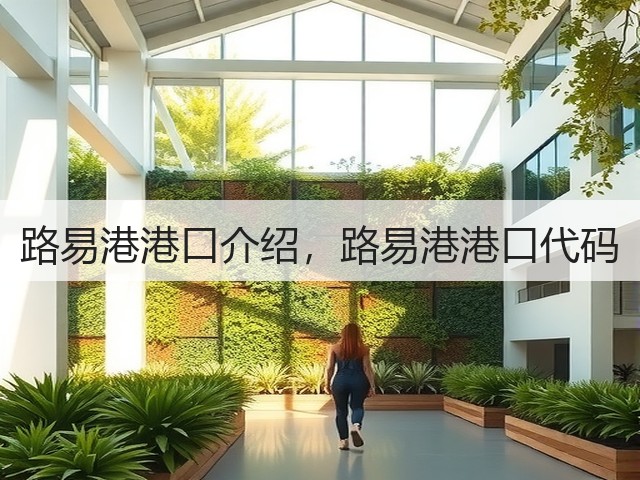 路易港港口介绍，路易港港口代码(图2)