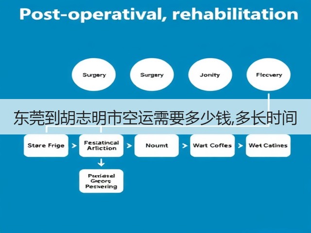 东莞到胡志明市空运需要多少钱,多长时间(图1)