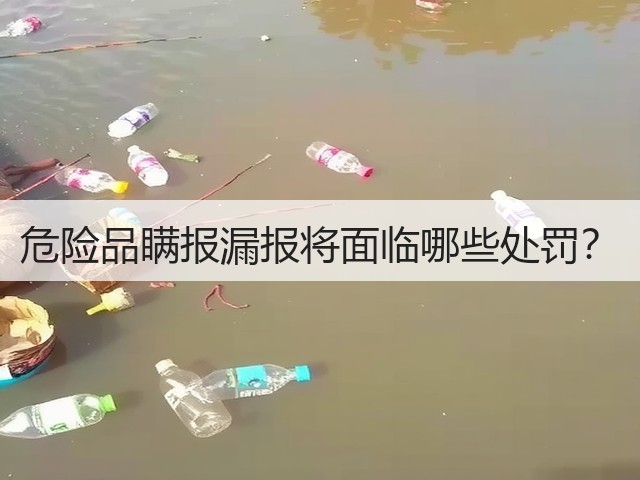 危险品瞒报漏报将面临哪些处罚？(图2)