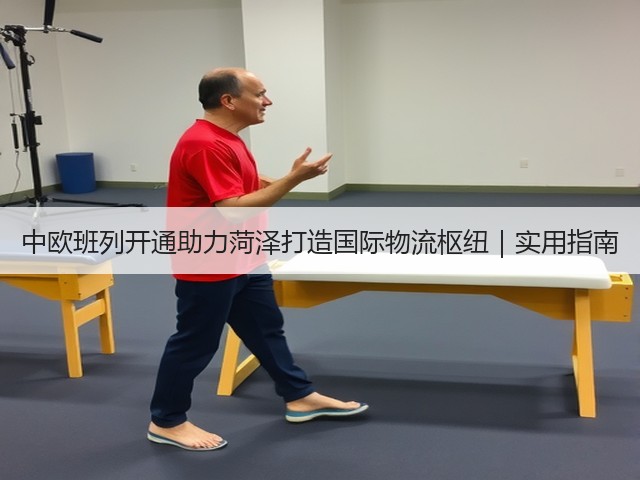 中欧班列开通助力菏泽打造国际物流枢纽｜实用指南(图3)