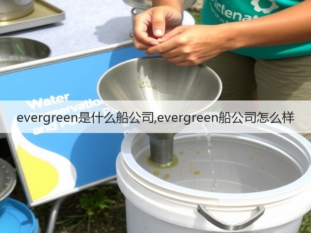 evergreen是什么船公司,evergreen船公司怎么样(图2)