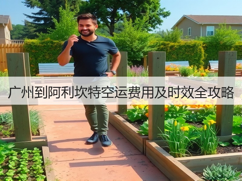 广州到阿利坎特空运费用及时效全攻略