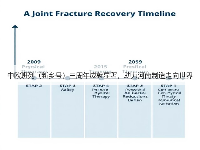 中欧班列（新乡号）三周年成就显著，助力河南制造走向世界(图2)