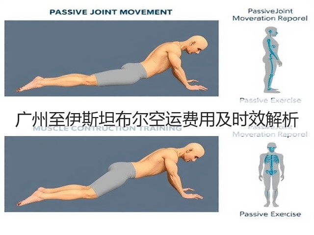广州至伊斯坦布尔空运费用及时效解析(图3)