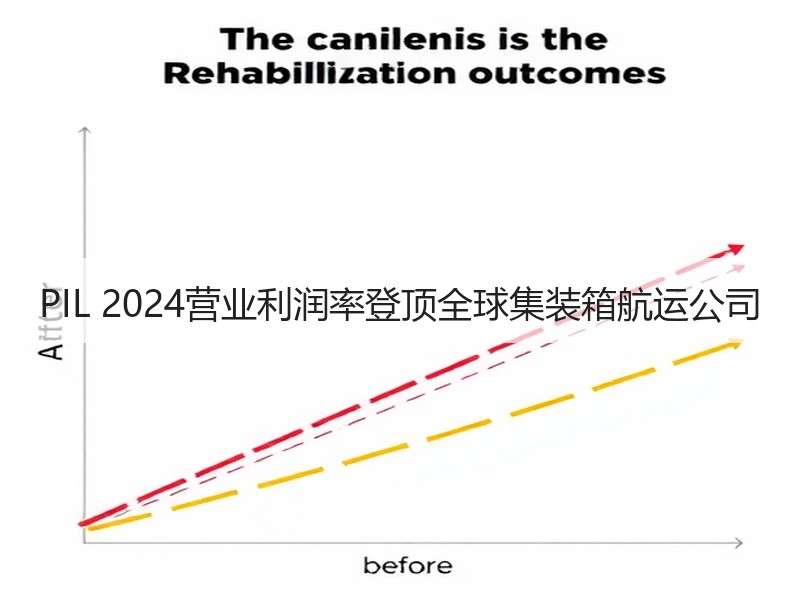 PIL 2024营业利润率登顶全球集装箱航运公司