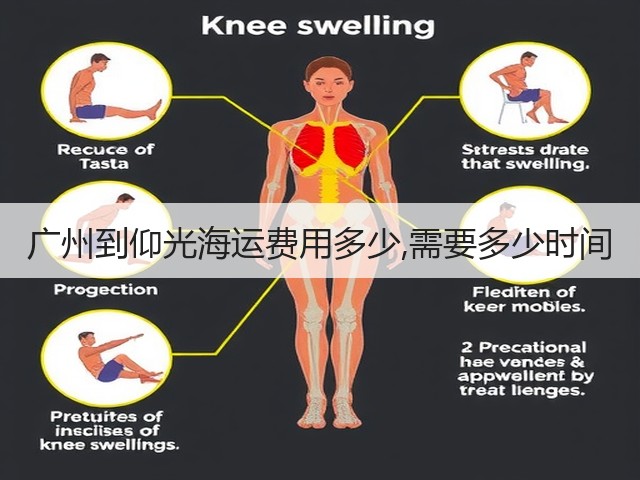 广州到仰光海运费用多少,需要多少时间(图2)